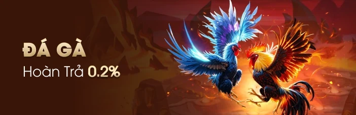 NC88 Hoàn trả 0.2% cho mỗi vé cược Đá Gà.