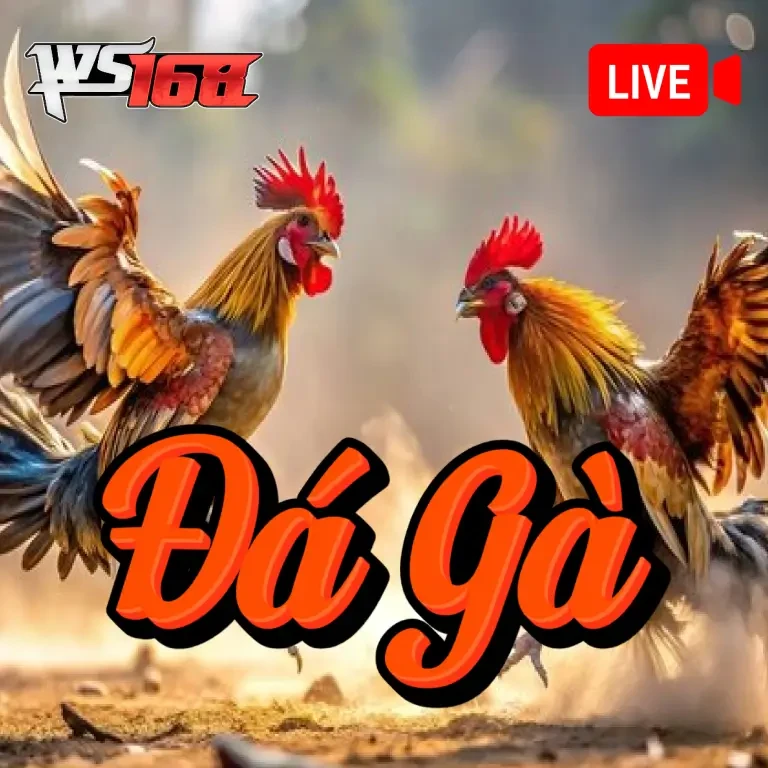 NC88 Đá Gà Livestream